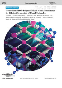 Frontispiz: Homochiral MOF-Polymer Mixed Matrix Membranes for Efficient Separation of Chiral Molecules
