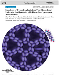 Frontispiz: Snapshots of Dynamic Adaptation: Two-Dimensional Molecular Architectonics with Linear Bis-Hydroxamic Acid Modules