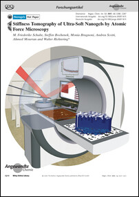 Frontispiz: Stiffness Tomography of Ultra-Soft Nanogels by Atomic Force Microscopy