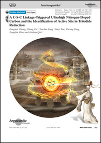 Frontispiz: A C-S-C Linkage-Triggered Ultrahigh Nitrogen-Doped Carbon and the Identification of Active Site in Triiodide Reduction