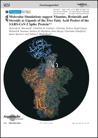 Frontispiz: Molecular Simulations suggest Vitamins, Retinoids and Steroids as Ligands of the Free Fatty Acid Pocket of the SARS-CoV-2 Spike Protein