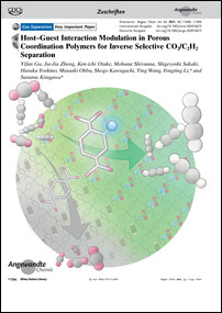 Frontispiz: Host-Guest Interaction Modulation in Porous Coordination Polymers for Inverse Selective CO2/C2H2 Separation