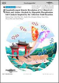 Frontispiz: Enantiodivergent Kinetic Resolution of 1,1′-Biaryl-2,2′-Diols and Amino Alcohols by Dipeptide-Phosphonium Salt Catalysis Inspired by the Atherton-Todd Reaction
