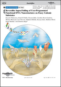 Frontispiz: Reversible Supra-Folding of User-Programmed Functional DNA Nanostructures on Fuzzy Cationic Substrates