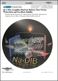 Frontispiz: A TiSe2-Graphite Dual Ion Battery: Fast Na-Ion Insertion and Excellent Stability