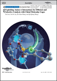 Frontispiz: Exploiting Anion-π Interactions for Efficient and Selective Catalysis with Chiral Molecular Cages