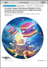 Frontispiz: Covalently Aligned Molybdenum Disulfide-Carbon Nanotubes Heteroarchitecture for High-Performance Electrochemical Capacitors