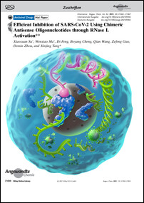 Frontispiz: Efficient Inhibition of SARS-CoV-2 Using Chimeric Antisense Oligonucleotides through RNase L Activation