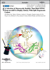 Frontispiz: A Selection of Macrocyclic Peptides That Bind STING From an mRNA-Display Library With Split Degenerate Codons