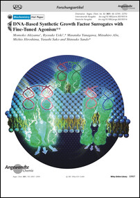 Frontispiz: DNA-Based Synthetic Growth Factor Surrogates with Fine-Tuned Agonism