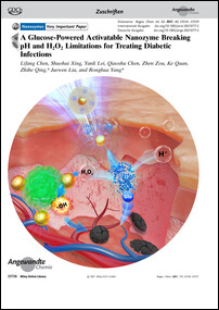 Frontispiz: A Glucose-Powered Activatable Nanozyme Breaking pH and H2O2 Limitations for Treating Diabetic Infections