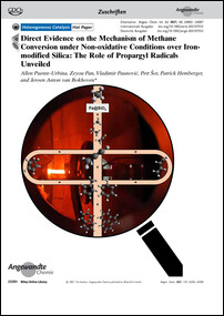 Frontispiz: Direct Evidence on the Mechanism of Methane Conversion under Non-oxidative Conditions over Iron-modified Silica: The Role of Propargyl Radicals Unveiled