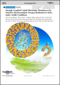 Frontispiz: Strongly Coupled Cobalt Diselenide Monolayers for Selective Electrocatalytic Oxygen Reduction to H2O2 under Acidic Conditions