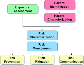 How Safe Is Nano? - Nanotoxicology: An interdisciplinary challenge