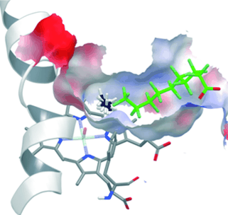 Tuned Enzymes - Extra guest molecule in an enzyme’s binding pocket enables methane oxidation