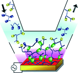 Signpost for Chemical Snaps - Copper ions as morphogens for the formation of polymer films by click chemistry