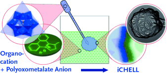 Synthetic Cells - Ion exchange leads to complex cell systems with inorganic membranes