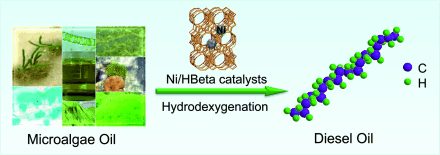 Algae for Your Tank? - New process for producing biodiesel from microalgae oil