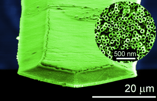 Synthetic Scent Hounds - Nanostructured sensor for the detection of very low concentrations of explosive