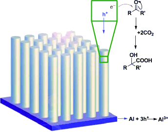 Painkiller by Photosynthesis - Selective and effective: silicon nanowires as photoelectrodes for carbon dioxide fixation