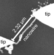 DNA as Future Electronic Components - Conducting nanostructures based on metallized DNA