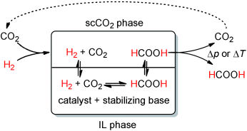 Dual Role for CO<sub>2</sub> - Continuous hydrogenation of carbon dioxide to pure formic acid in supercritical CO<sub>2</sub>