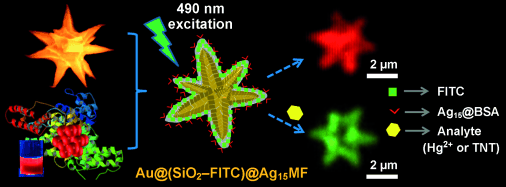 Glowing Flowers for Ultra-Trace Analysis of TNT - Selective optical TNT detection down to the sub-zeptomole level