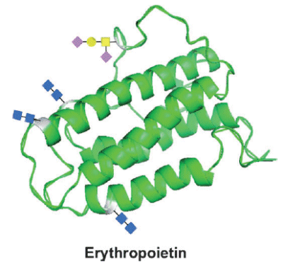 Artificial Blood Maker: EPO - First successful total synthesis of Erythropoietin