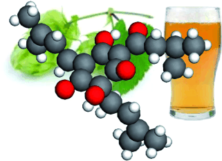 Beer's Bitter - The absolute configurations of the bitter acids of hops determined