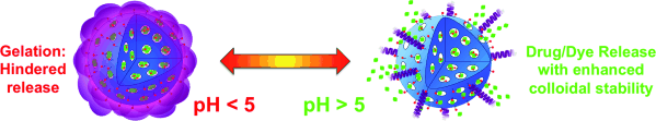 Clogged Pores for Increased Effectiveness - Whey protein stabilizes nanotransporter and controls pH-dependent drug release