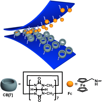 Sandwich in a Pumpkin - Supramolecular velcro for underwater adhesion