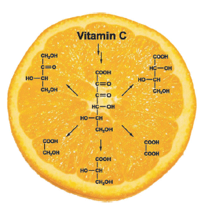 Vitamin C Goes Astray - Reaction pathways for Maillard degradation of vitamin C
