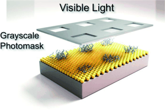 Brushes in 3D - Complex three-dimensional polymer brush nanostructures from photopolymerization