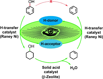 A Tandem for Biomass - Catalytic tandem reaction for the conversion of lignin and bio-oil by hydroxylation of phenols to form arenes