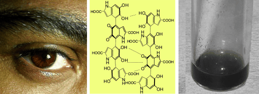 Destabilization as an Advantage - Unusual structural and electronic properties make skin pigments superior radical scavengers