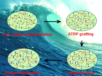 From the Ocean into the Reactor - New sorbents efficiently extract uranium from seawater