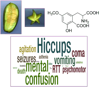  Sweet Poison - Star fruit neurotoxin identified