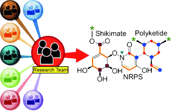 Successful Teamwork - Unusual fungal metabolites with antitumor activity discovered by crowdsourcing