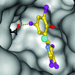 A New Approach to Malaria Treatment? - Halogenated natural alkaloids show herbicidal and antiplasmodial activity