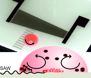Spinning Drops of Blood - Better diagnosis of parasitic infections: rapid, simple enrichment of rare cells by using ultrasound