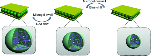 Swelling Stacks - Optical components made of multiresponsive microgels