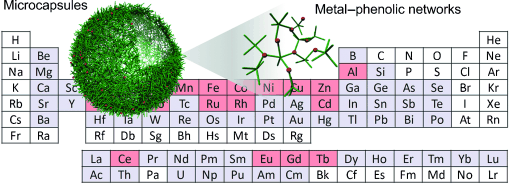Versatile Capsules - Multifunctional microcapsules made from metals and tannic acid