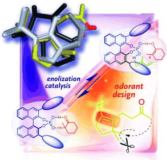 New Pleasures for the Nose - Design and enantioselective synthesis of new Cashmeran odorants