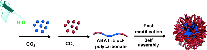 Making Polymers from a Greenhouse Gas - Versatile nanostructures made from CO<sub>2</sub> based polycarbonates