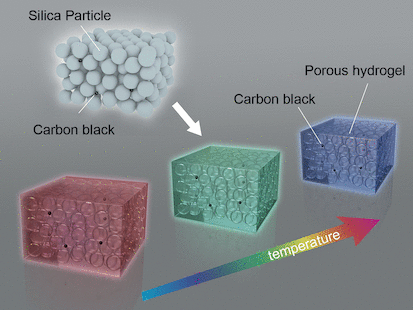 Soft Matter Exhibiting Angle-Independent Structural Colors - A pinch of carbon black transforms porous hydrogels to materials exhibiting angle-independent bright structural colors