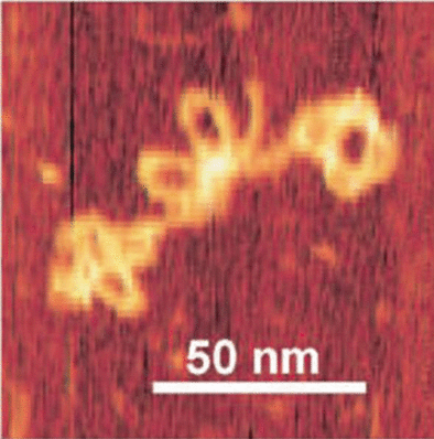 Nanostructures made from DNA - Daisy chain rotaxanes as molecular bearings
