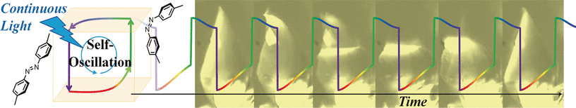 Crystal Takes a Bow - Macroscopic self-oscillation: crystal bends and stretches in blue light
