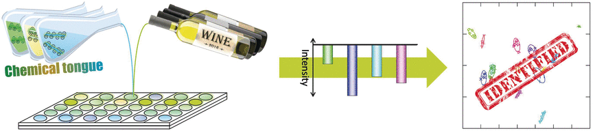 The Fingerprints of White Wines - Fluorescence-based assay system discerns different types of white wine