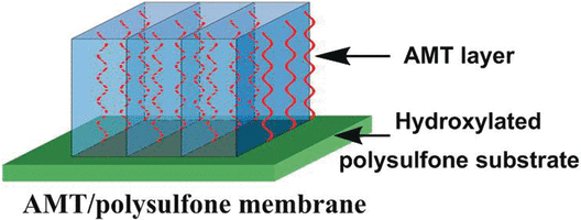 High-Speed Tunnel for Carbon Dioxide - Highly permeable mineral/polymer membrane for CO<sub>2</sub> separation
