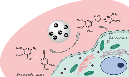 Implantable Catalyst Against Cancer - Biocompatible heterogeneous copper catalyst for click chemistry in living organisms